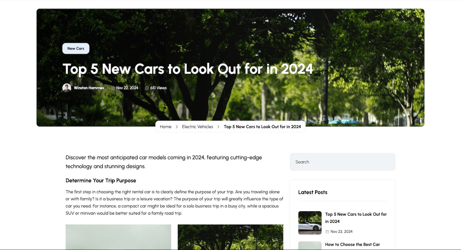 Car Rental System Screenshot 4